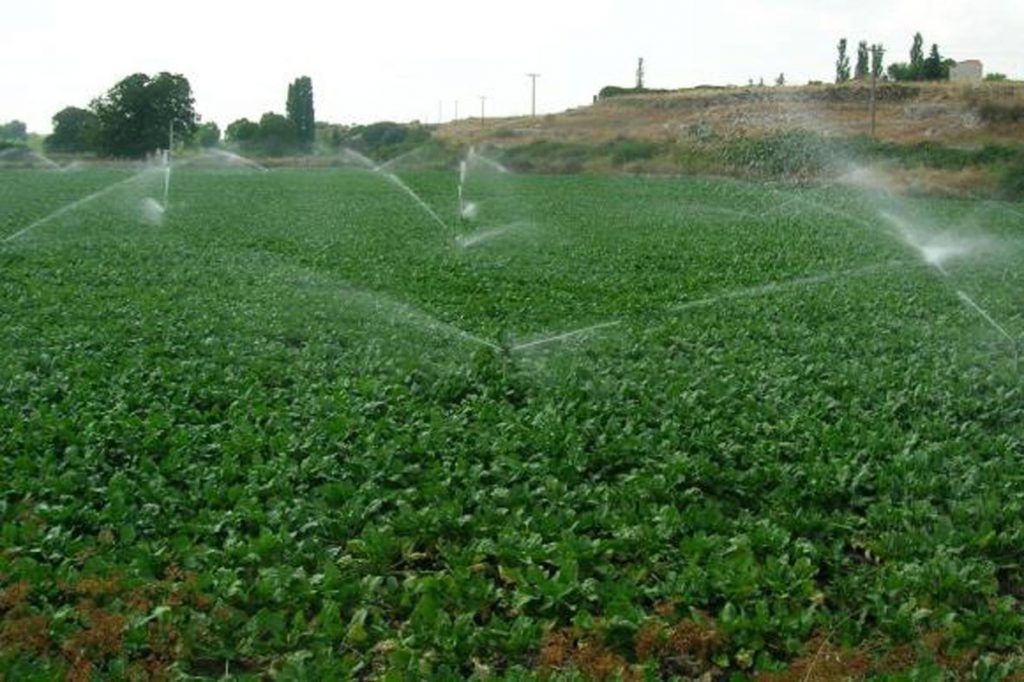 FERAGUA valora el esfuerzo de subir a 1750 m3/ha la dotación para la regulación general, pero advierte que no salvará la rutina económica del regadío