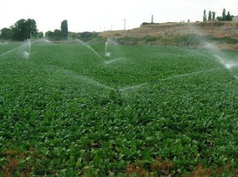 FERAGUA valora el esfuerzo de subir a 1750 m3/ha la dotación para la regulación general, pero advierte que no salvará la rutina económica del regadío