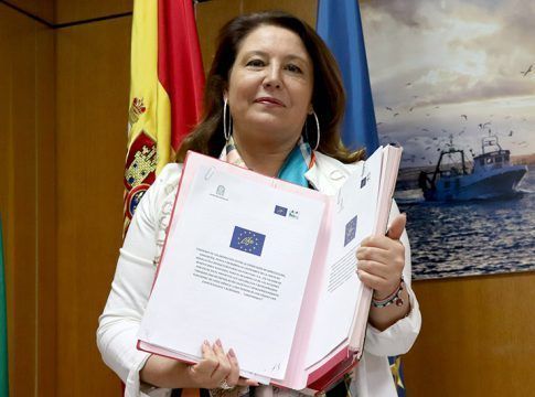 Andalucía y Portugal se unen para mejorar la seguridad de los linces en carreteras y vías de tren