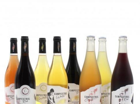 Un año de vino gratis solo apto para instagramers