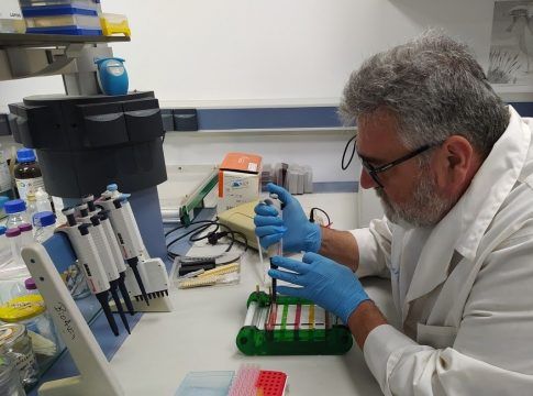 Cuatro de cada diez startups Minerva crean soluciones tecnológicas desde fuera de las capitales de provincia
