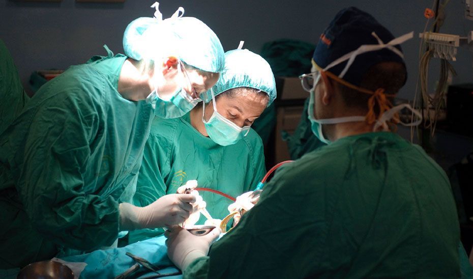 La actividad de donación de órganos en Andalucía crece por encima del 20%