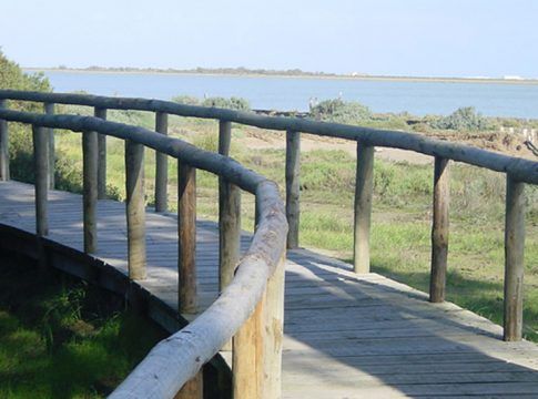 El 80% de los andaluces percibe en su entorno un aumento de los problemas ambientales