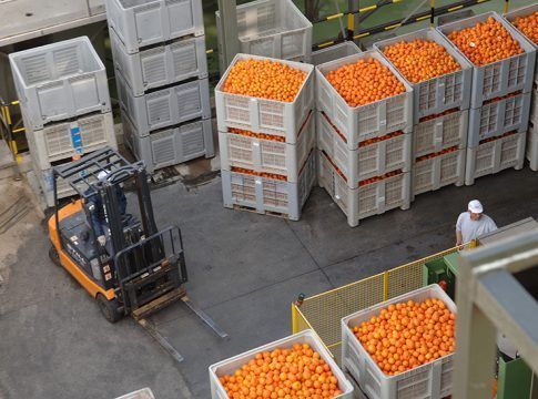 Abierto el plazo para las ayudas a organizaciones de productores de frutas y hortalizas