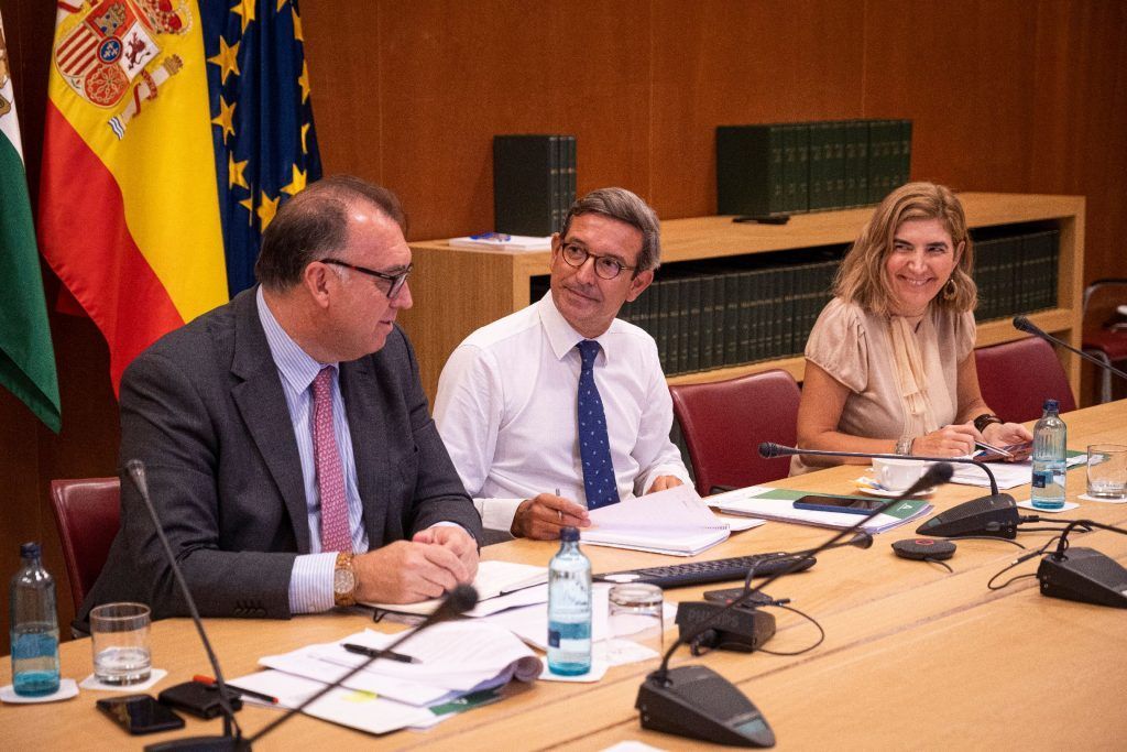 Andalucía pide al Gobierno central consensuar con las CCAA las medidas de ahorro y eficiencia energética