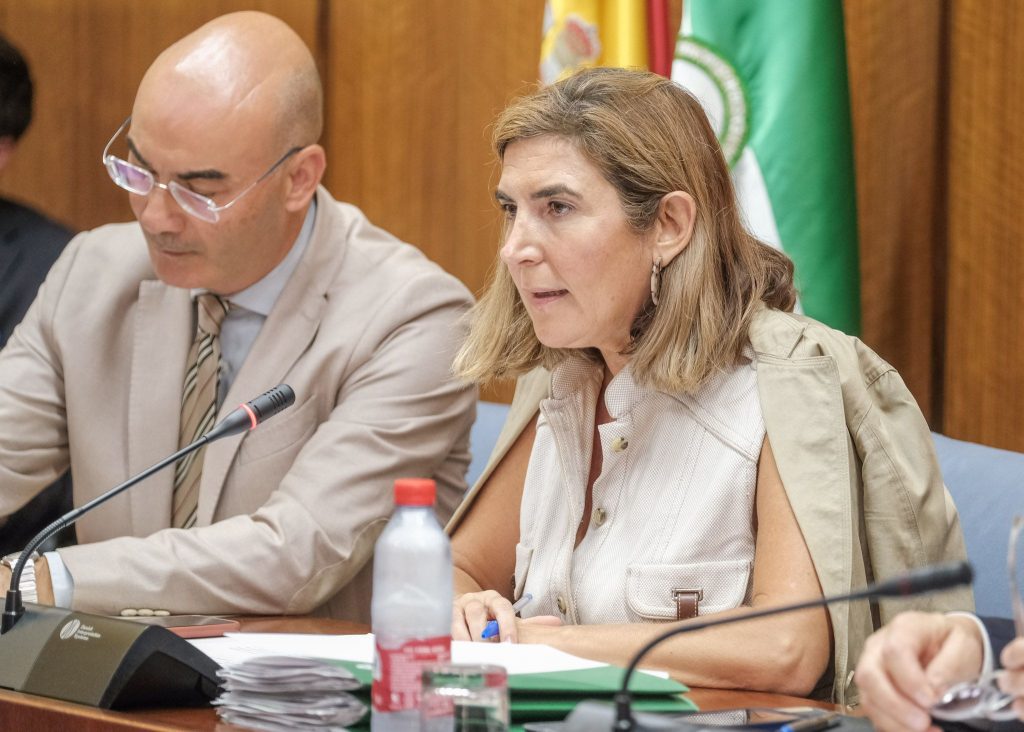 Empleo abordará una reordenación de la gestión de las ayudas para que sean más eficaces