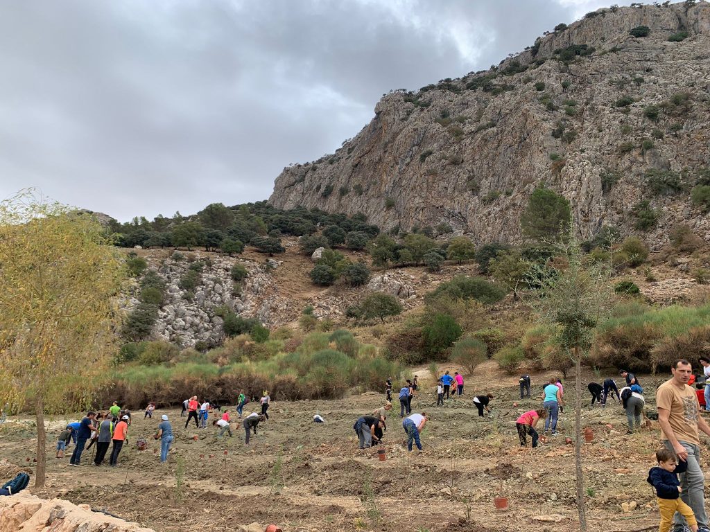 Las ‘Arboladas’ de la Diputación terminan con más de 350 participantes y la plantación de más de 1.500 árboles y arbustos