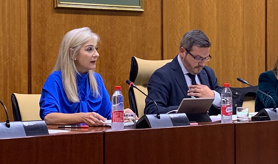 Del Pozo destaca la inversión este curso de más de 800 millones de euros en ayudas a las familias andaluzas