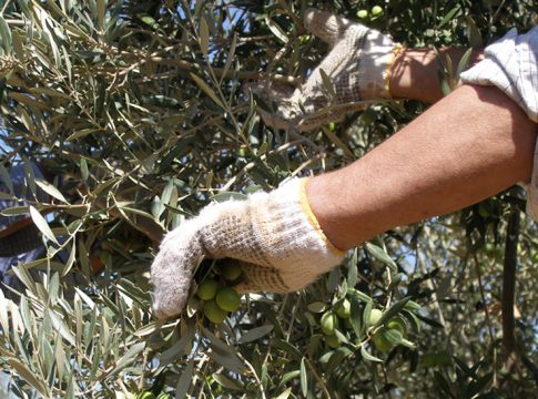 Andalucía lidera el descenso del paro en España en diciembre al descontar 22.280 desempleados