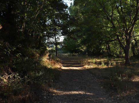 Andalucía destina ayudas por valor de seis millones a proyectos de I+D en biodiversidad y cambio climático