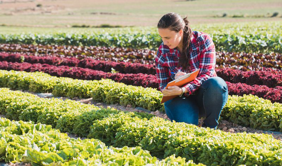 Las mujeres ocuparon más de la mitad de los nuevos empleos creados en Andalucía en 2022