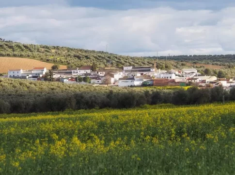 UPA Córdoba muestra su rechazo a la mega planta solar que ocuparía 619 hectáreas de tierra fértil  y cultivada de cinco términos municipales