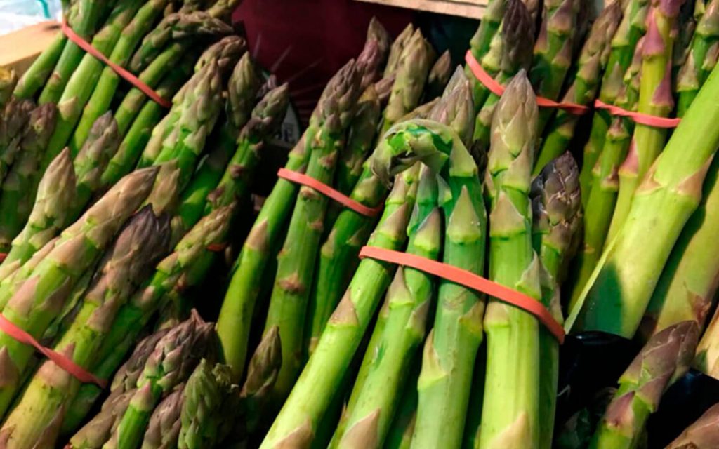 <strong>UPA Granada cuantifica en 55 millones de euros las pérdidas para los agricultores por la reducción de un 40% en la cosecha del espárrago</strong><strong></strong>