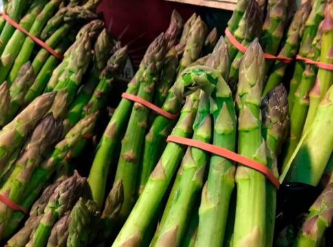 <strong>UPA Granada cuantifica en 55 millones de euros las pérdidas para los agricultores por la reducción de un 40% en la cosecha del espárrago</strong><strong></strong>