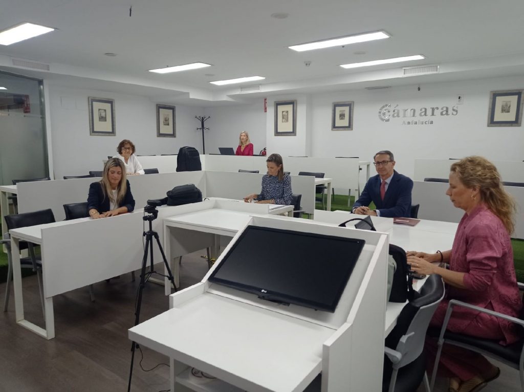 <a><strong>Cámaras de Andalucía y Banco de España se alían para formar a los empresarios en gestionar mejor sus finanzas </strong></a>