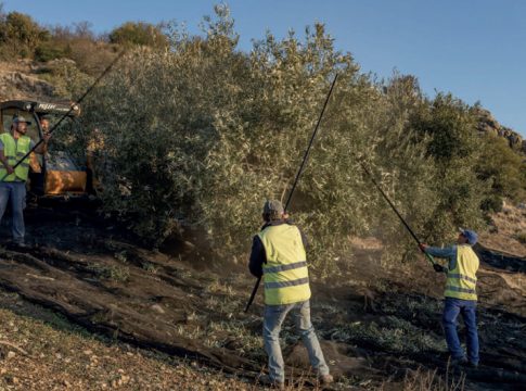 Sucesores de Hermanos López S.A.: “La calidad cruza fronteras”