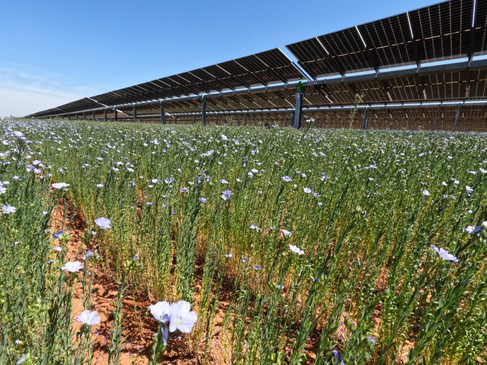 La energía renovable de Endesa supera el teravatio hora de producción en Andalucía