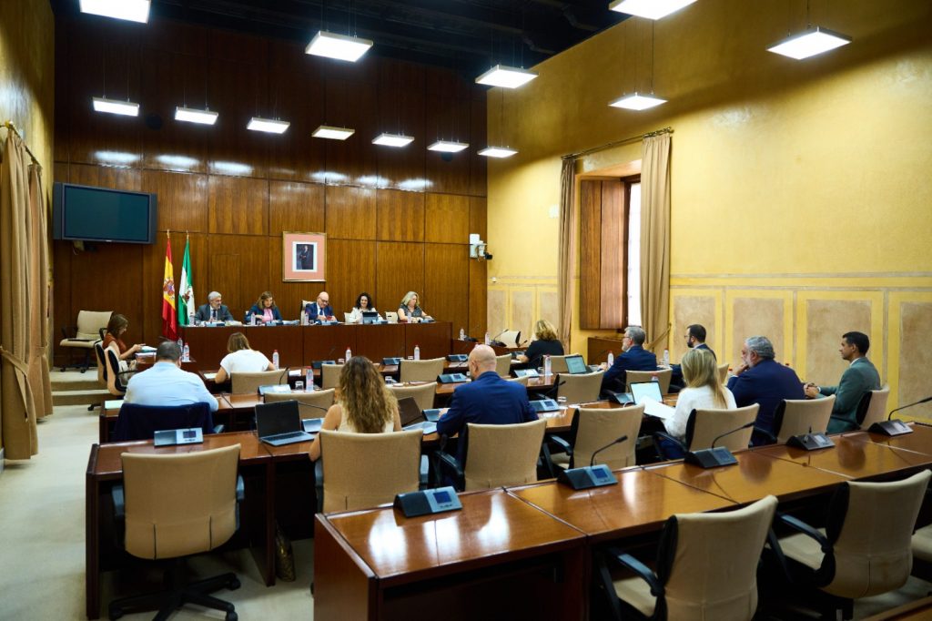 Rocío Blanco recalca que reducir el paro juvenil es prioridad absoluta para el Gobierno andaluz