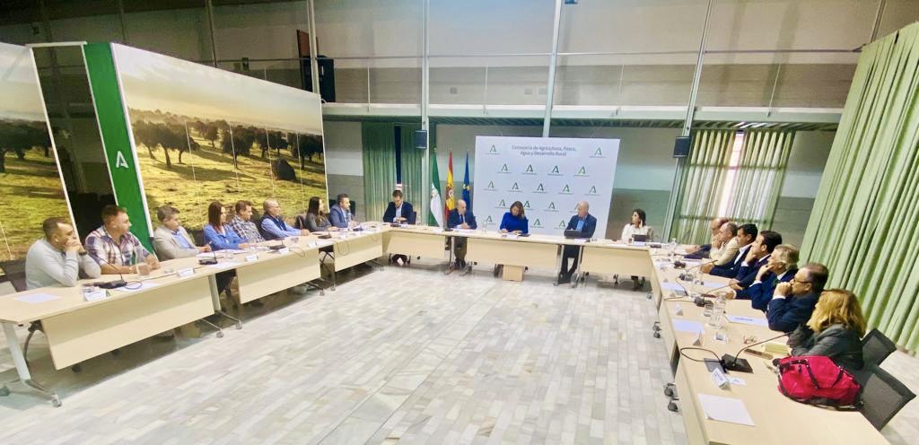 Junta y sector piden al Gobierno informes científicos actualizados de cara a la aprobación de las TAC y cuotas pesqueras de la UE