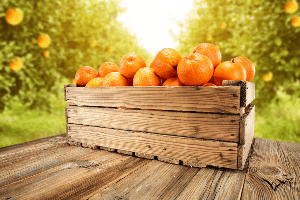 La Junta y Asociafruit buscan aumentar el consumo de la ‘Naranja de Andalucía’ promocionando su calidad y sus beneficios para la salud