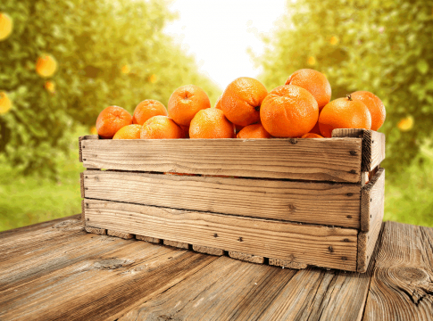 La Junta y Asociafruit buscan aumentar el consumo de la ‘Naranja de Andalucía’ promocionando su calidad y sus beneficios para la salud
