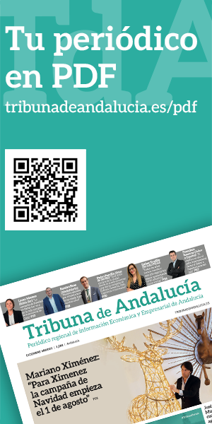 TdA – Banner 300x600px