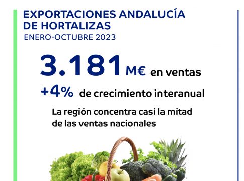 Andalucía bate récord en exportaciones de hortalizas con 3.181 millones y un alza del 4% interanual en los primeros diez meses del año