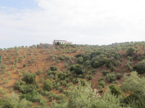 La Junta efectúa el pago de más de 13,6 M€ de las ayudas de desarrollo rural de zonas con limitaciones naturales