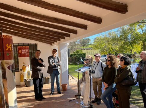 Los alojamientos reglados de la provincia de Sevilla, sin la capital, registran una ocupación en torno al 80% para los principales días de la Semana Santa