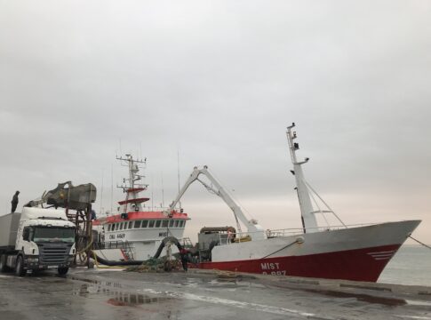 Sector pesquero advierte de que anular el acuerdo con Marruecos complicará la gestión sostenible en esas aguas de especies básicas como sardina, merluza o atún