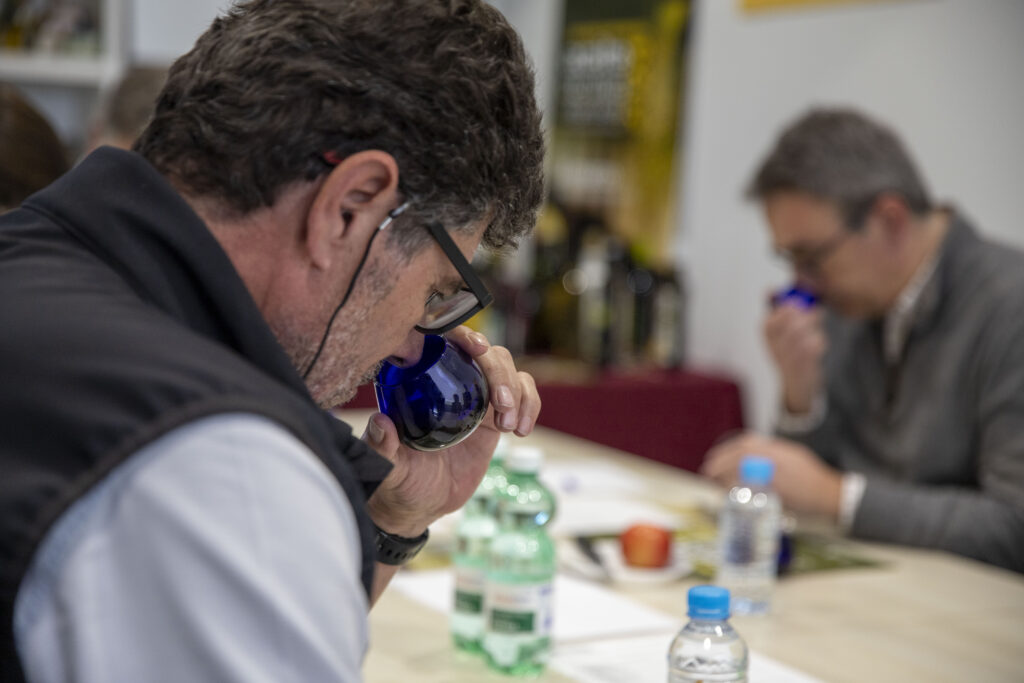 El XVII Concurso Provincial a la Calidad de los Aceites de Oliva Virgen Extra de la Diputación selecciona en una cata final a los mejores aceites de Córdoba