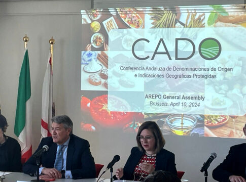 Andalucía oficializa su candidatura a la vicepresidencia de Arepo en la asamblea del ente europeo