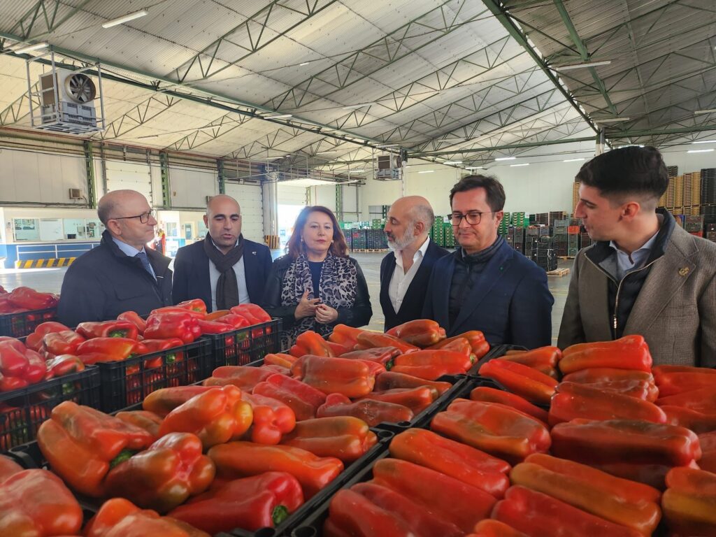 Andalucía llega a los 1.434 M€ en exportaciones de productos agroalimentarios en enero de 2024