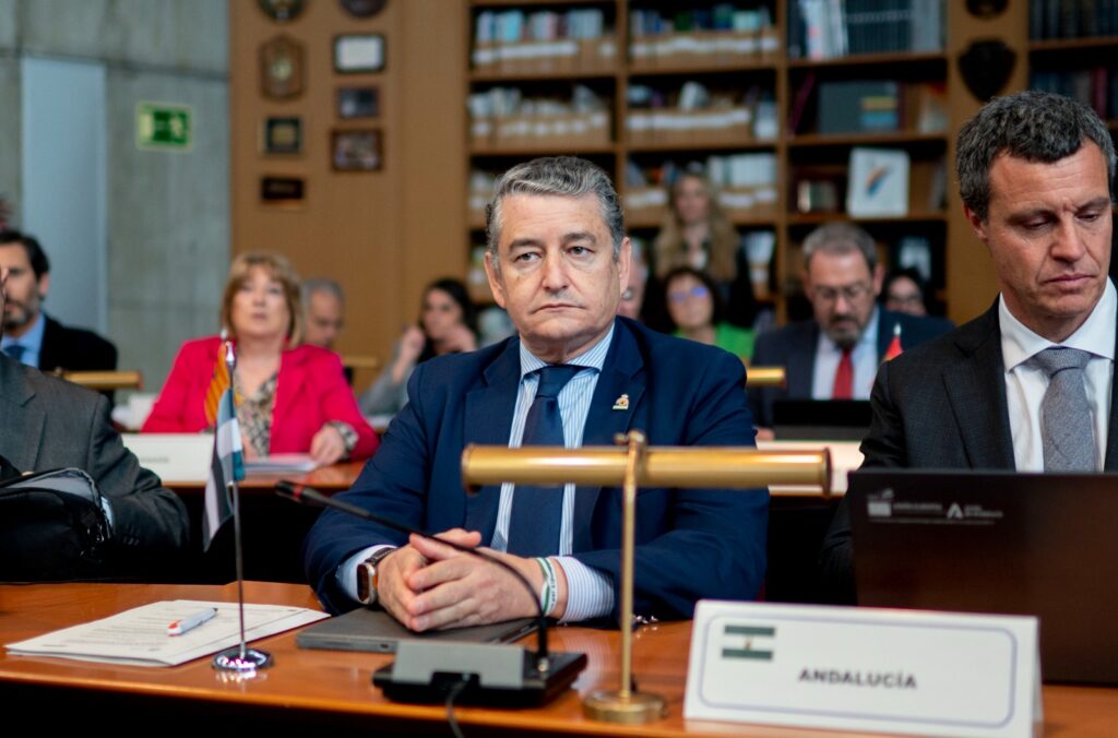 Antonio Sanz lleva al Consejo Nacional de Protección Civil el modelo andaluz de emergencias