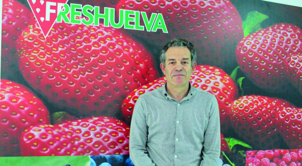 Rafael Domínguez: “Freshuelva aúna a la inmensa mayoría del sector en Huelva”