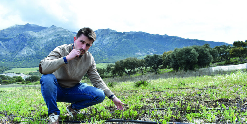 Alberto Cortés (Ginevia): “Corroborar y confirmar que tenemos un producto de calidad”