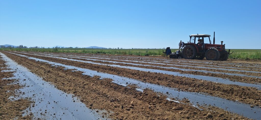 La empresa andaluza Reyenvas, referente en el sector, ha incrementado un 160% su producción de plásticos biodegradables y compostables