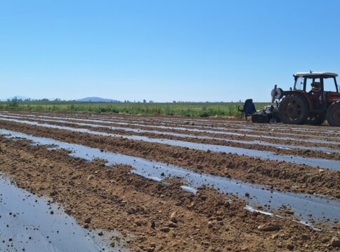 La empresa andaluza Reyenvas, referente en el sector, ha incrementado un 160% su producción de plásticos biodegradables y compostables