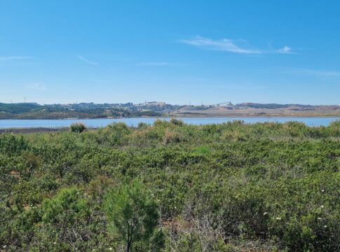 Atalaya Mining publica su informe de Sostenibilidad 2023, rindiendo cuentas del desempeño ambiental, social y de gobernanza de sus operaciones