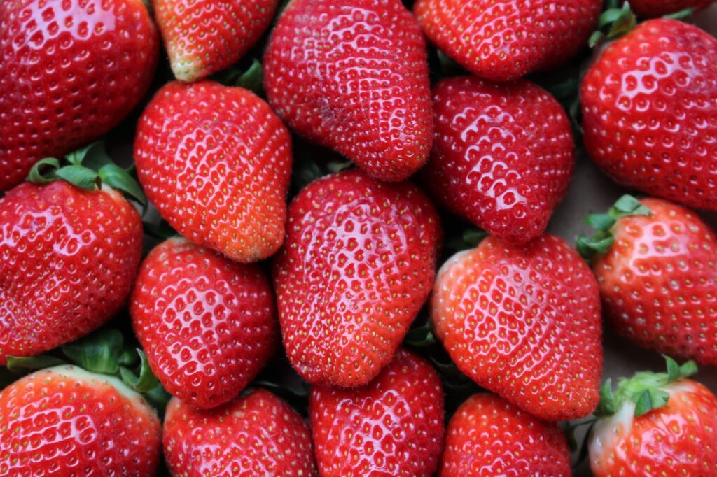 Andalucía, líder en comercialización internacional de fresas, frambuesas y arándanos frescos