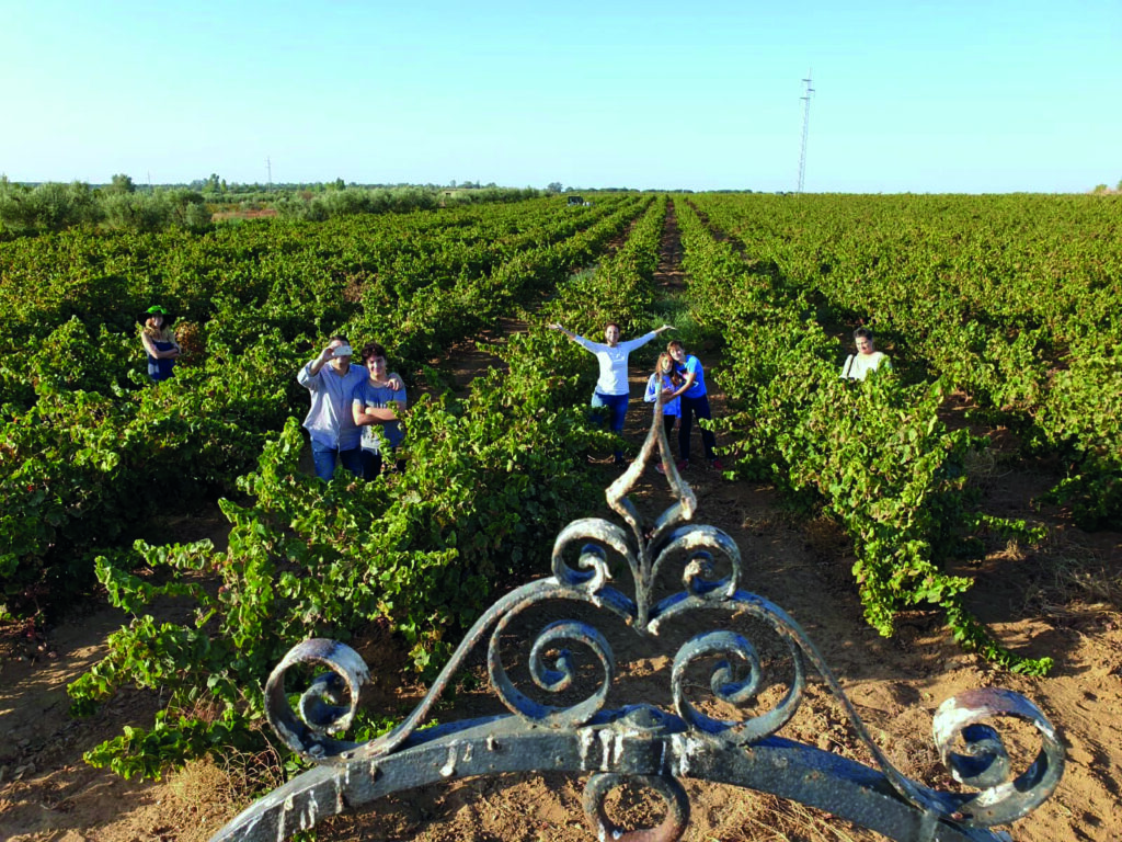 José Joaquín Peulach (Bodegas Alcaria): “Hemos apostado por la calidad antes que por la cantidad, es donde radica nuestro secreto”