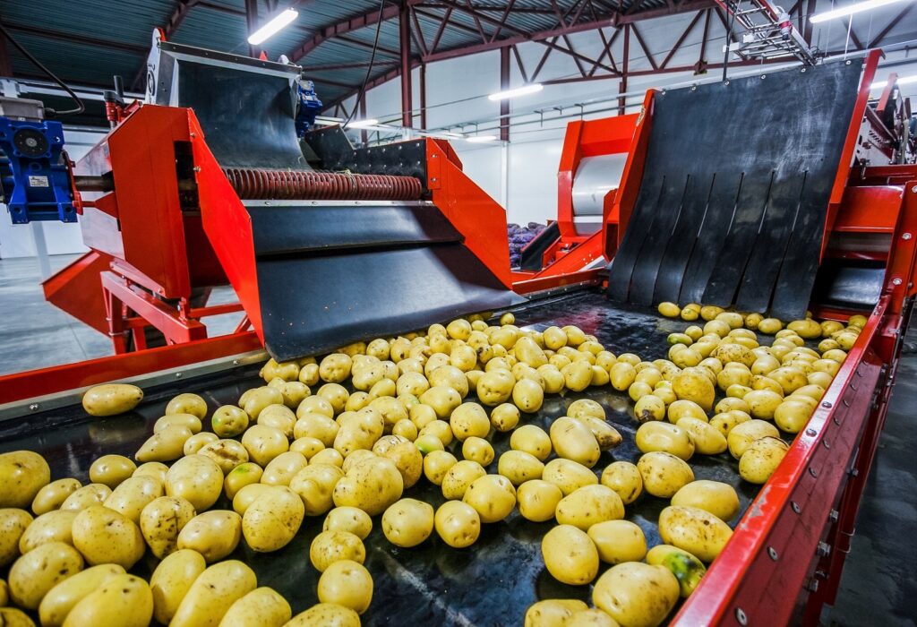 El valor de las exportaciones hortofrutícolas a EEUU crece casi un 34% en el primer trimestre de 2024