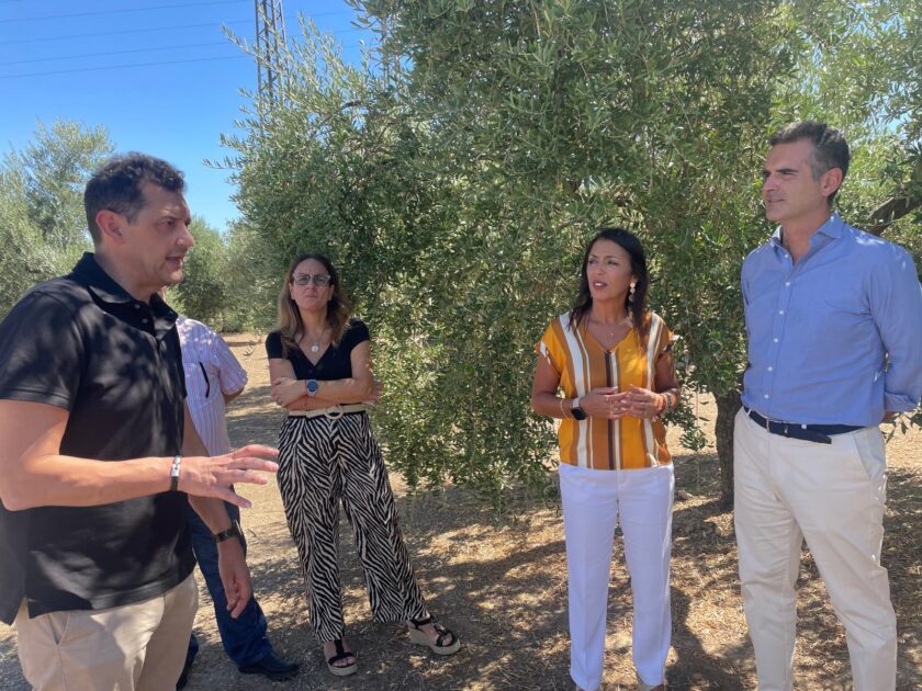 La Junta invertirá 20 millones de euros en un plan para optimizar los centros de Investigación agraria y pesquera de Andalucía (IFAPA)
