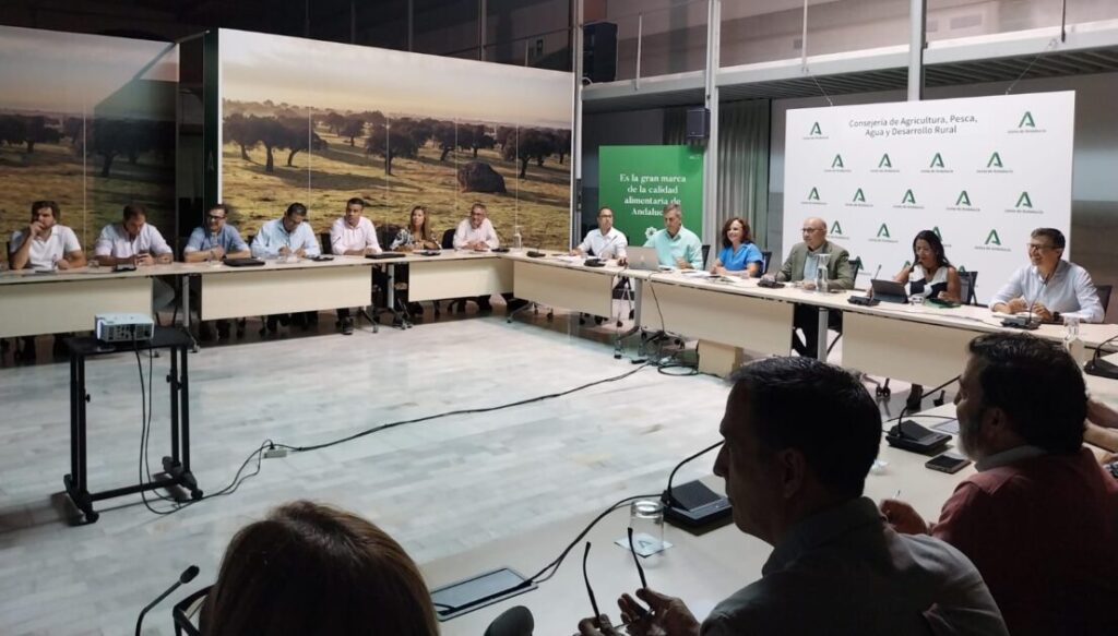 Andalucía prevé una producción de más de 135.700 toneladas de algodón en la próxima campaña