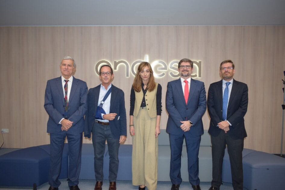 Expertos de todo el mundo analizan en Sevilla cómo las redes eléctricas afrontan la transición energética