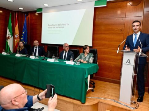 Andalucía prevé una producción de más de 1M de toneladas de aceite de oliva en la próxima campaña