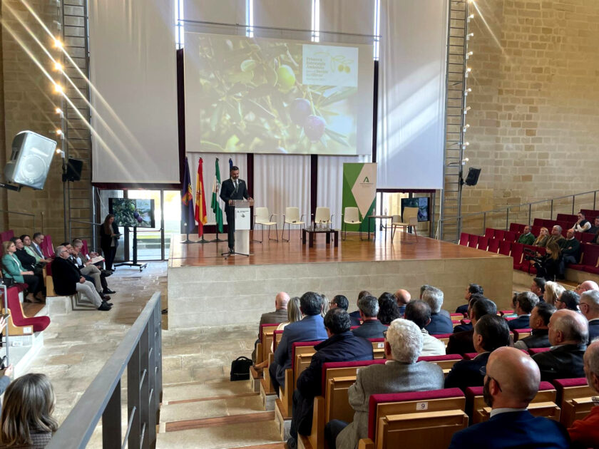 La I Estrategia Andaluza del Olivar apuesta por mejorar la competitividad y la rentabilidad además de consolidar la sostenibilidad del sector