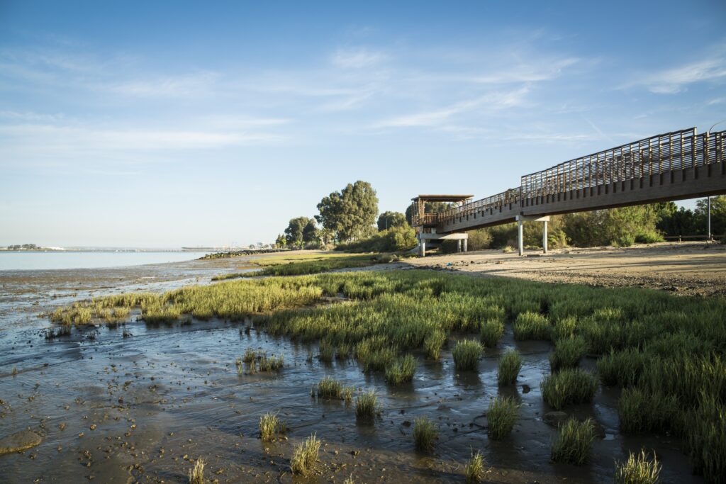 Huelva se consolida como referente de la sostenibilidad portuaria con la celebración de las III Jornadas de Sostenibilidad Ambiental y Gestión Portuaria