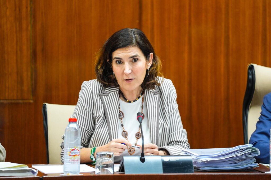 Andalucía considera insuficiente el reparto de fondos estatales para financiar políticas de empleo