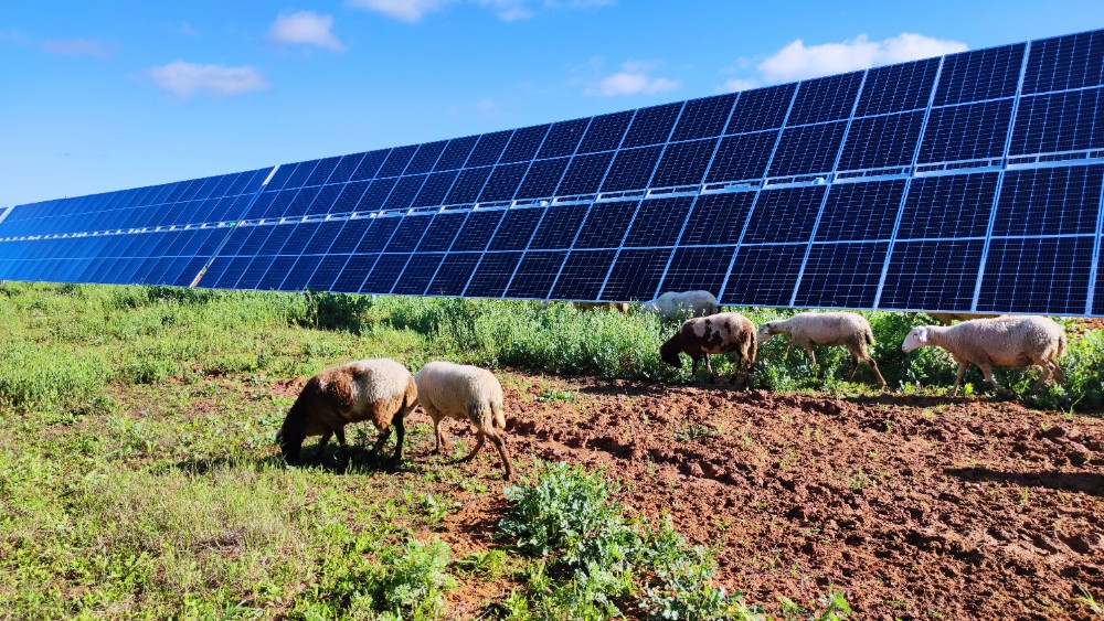 EN TAN SOLO CUATRO AÑOS ENDESA HA AUMENTADO UN 137% SU PRODUCIÓN DE ENERGÍA SOLAR EN ANDALUCÍA